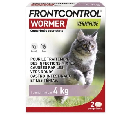 médicament vers intestinal