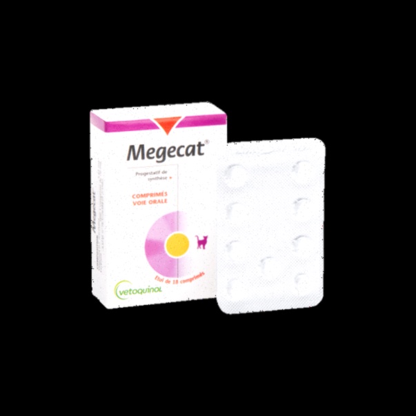 pilule contraception